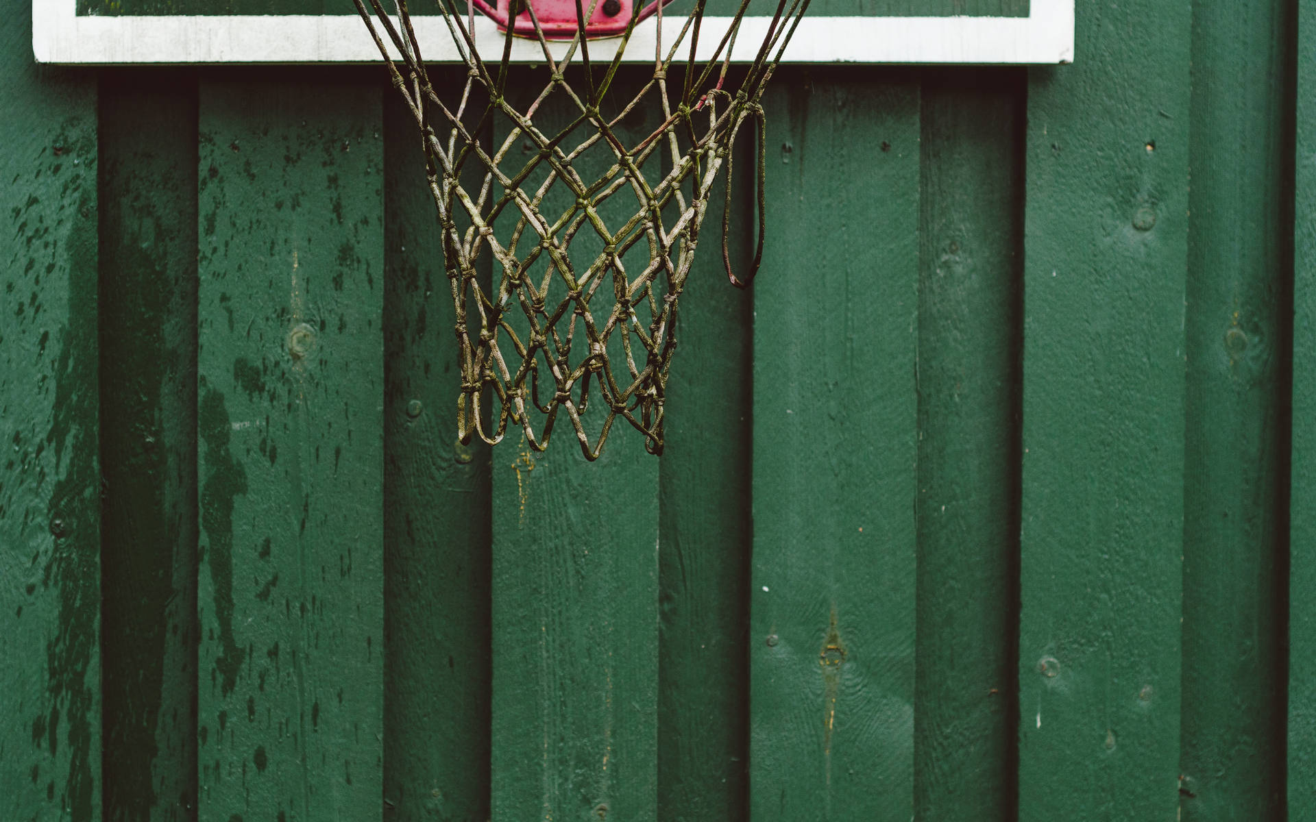 Basketball Net On Green Wall Wallpaper