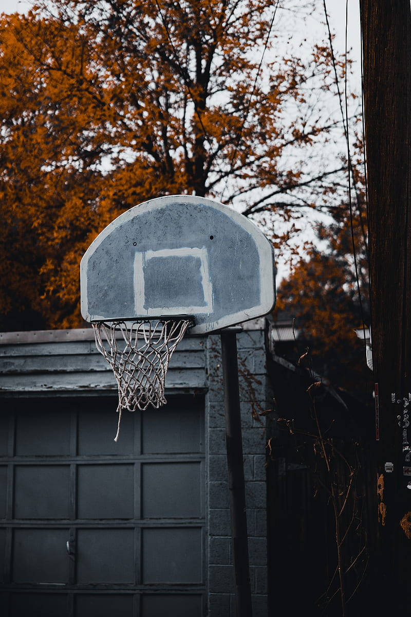 Basketball Ring Autumn Cool Basketball Iphone Wallpaper