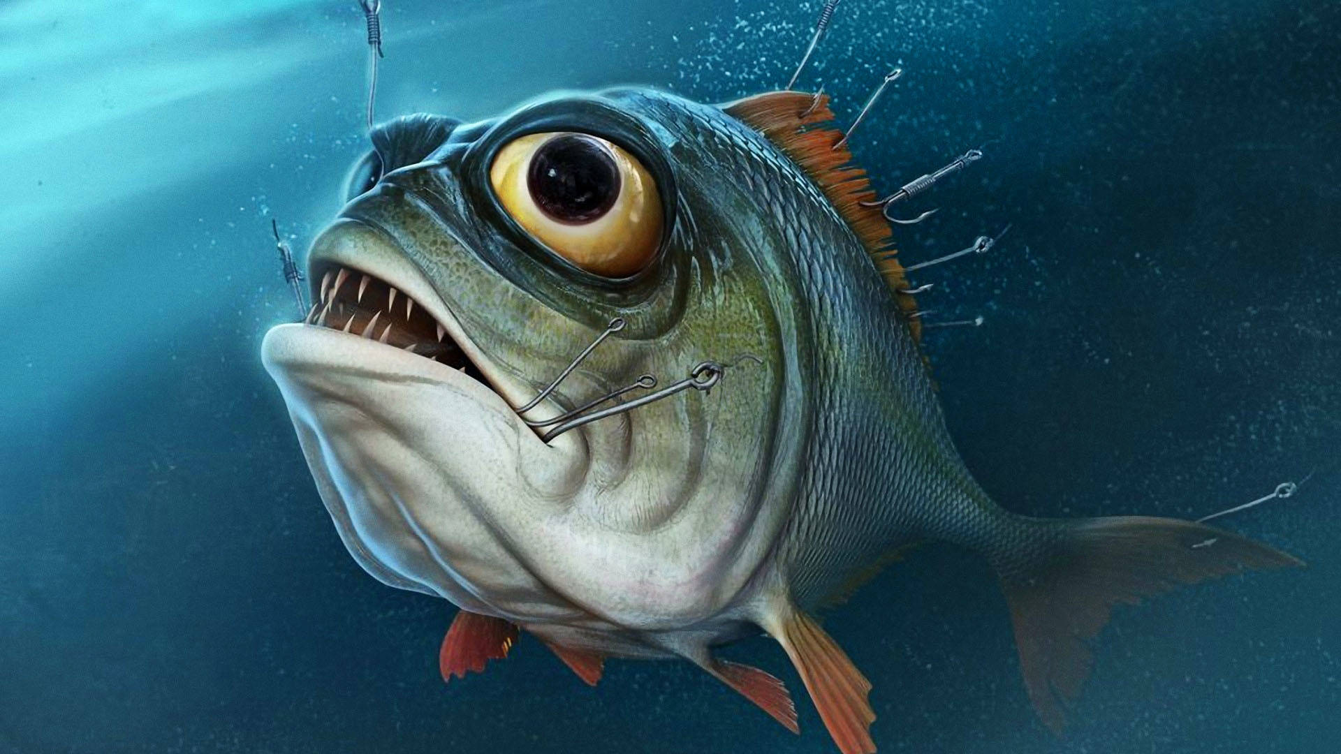 bass fish wallpaper hd