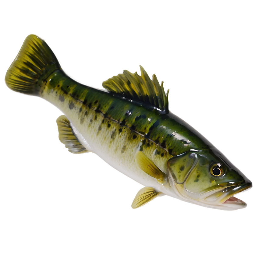 Download Bass Fishing Secrets Png Btb | Wallpapers.com