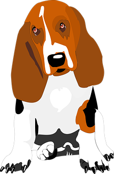 Basset Hound Cartoon Illustration PNG