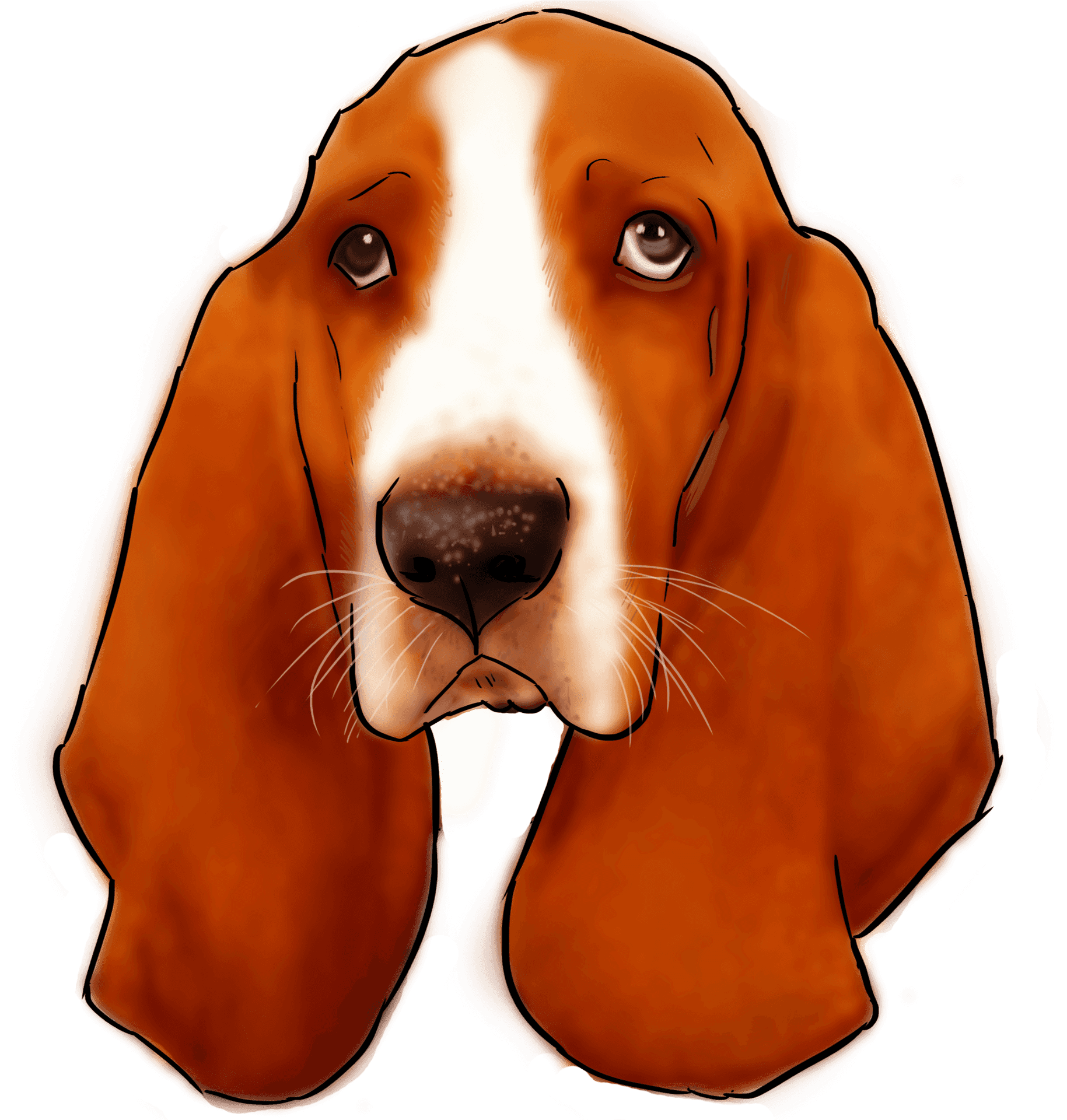 Download Basset Hound Portrait Illustration | Wallpapers.com