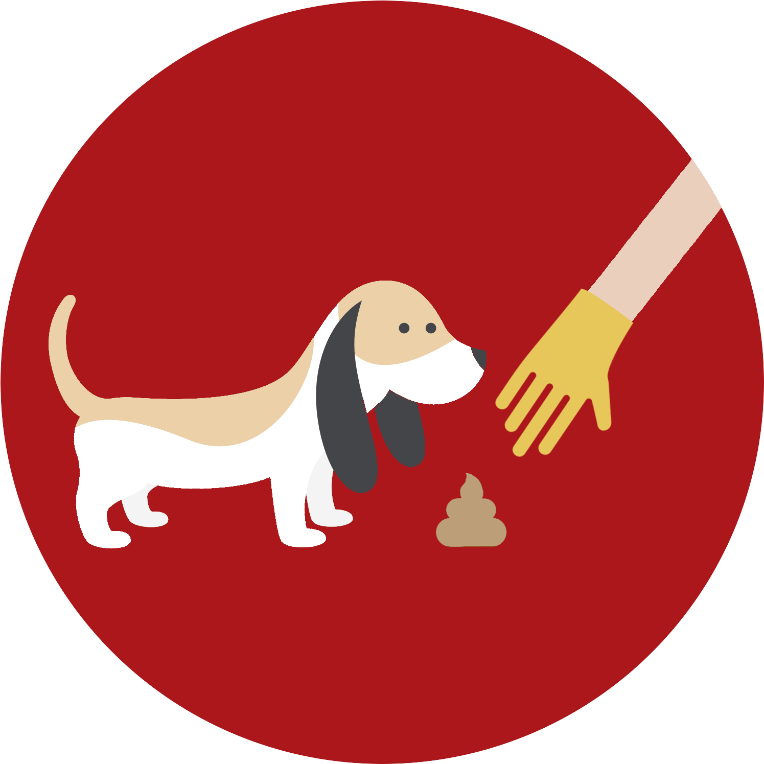 Basset Hound Potty Training Illustration PNG