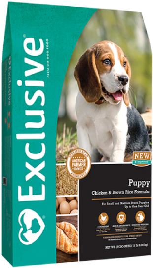 Basset Hound Puppy Dog Food Advertisement PNG