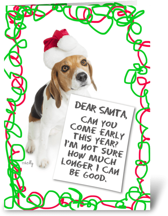 Basset Hound Santa Hat Letterto Santa PNG