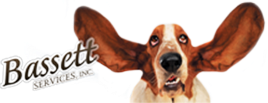 Basset Hound With Floppy Ears PNG