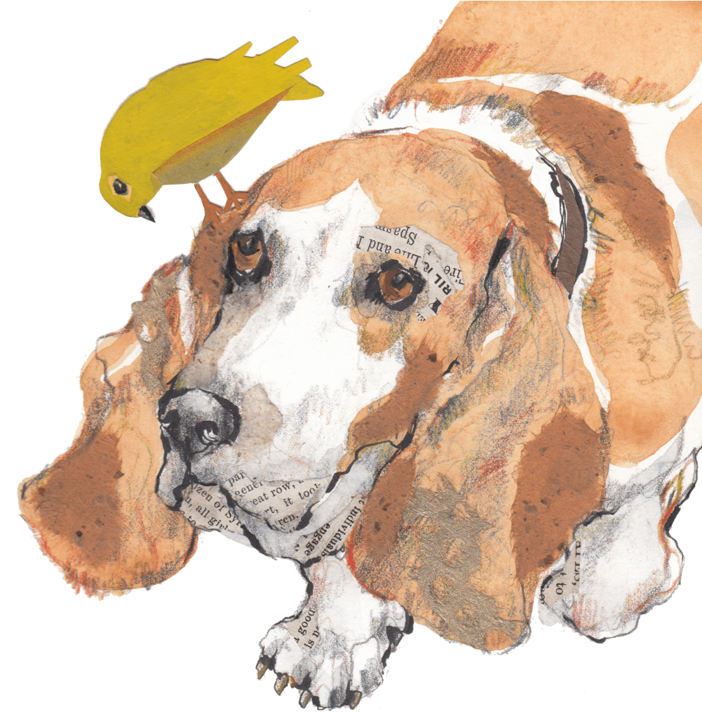 Basset Houndand Bird Artwork PNG