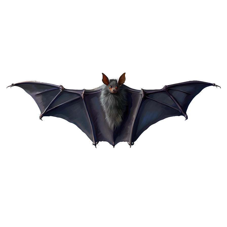 Bat Wings Png 2 PNG