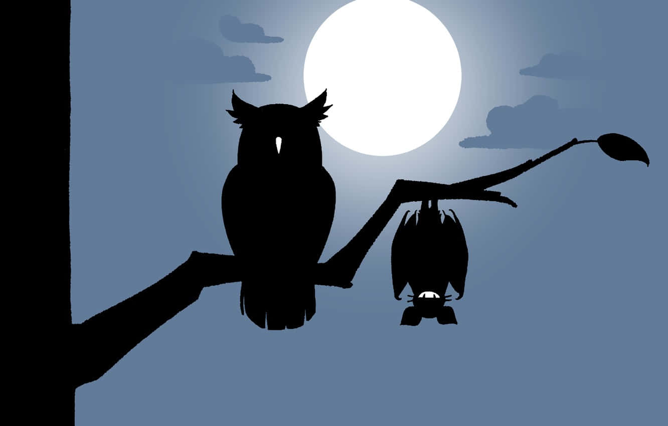 Bat And Owl Cartoo Wallpaper