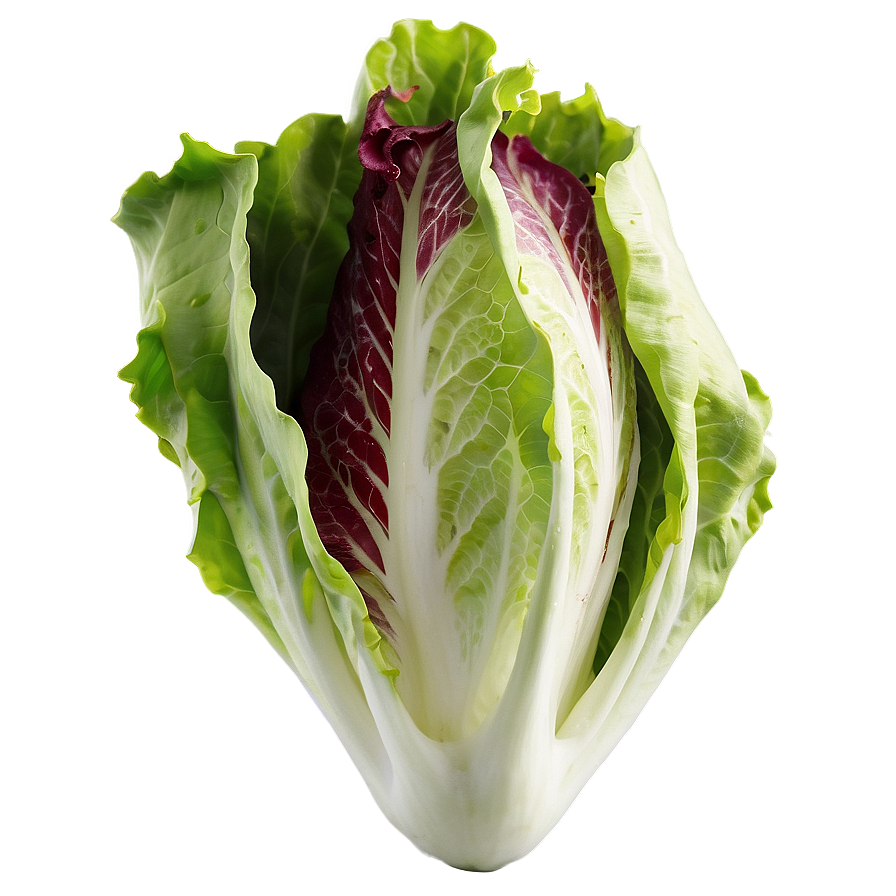 Download Batavia Lettuce Png Jgh | Wallpapers.com