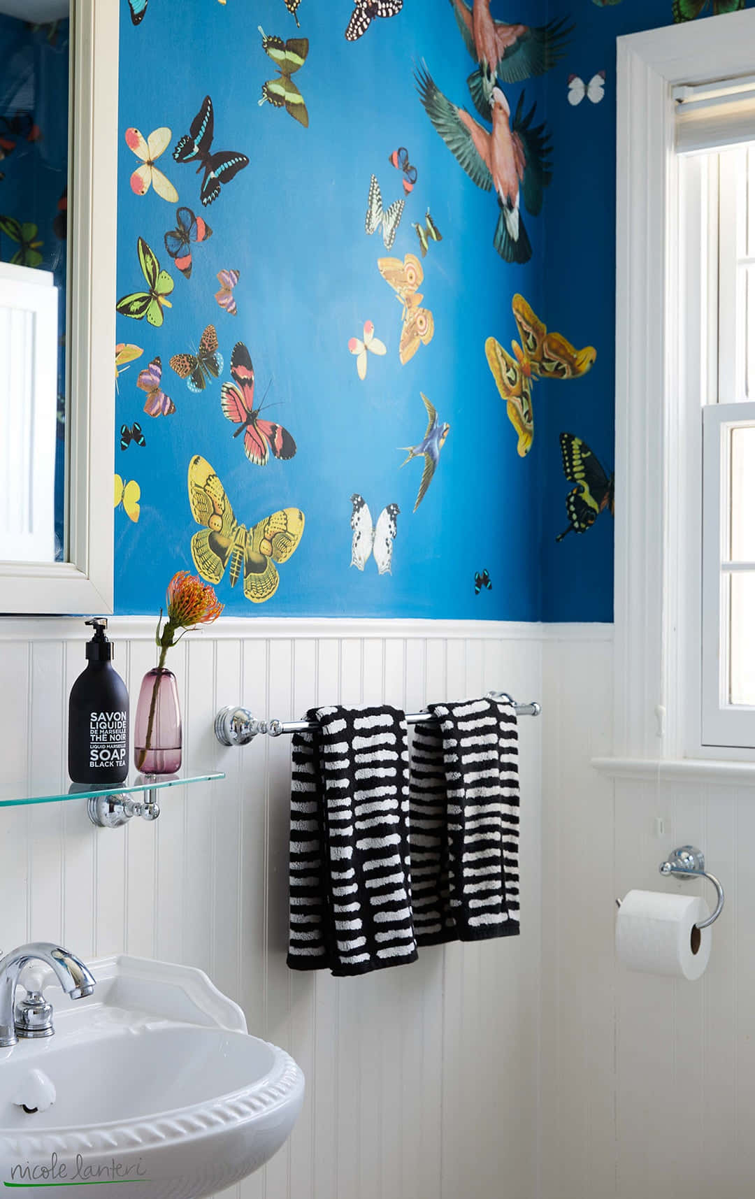 Blå væg sommerfugle badeværelse dekor. billed