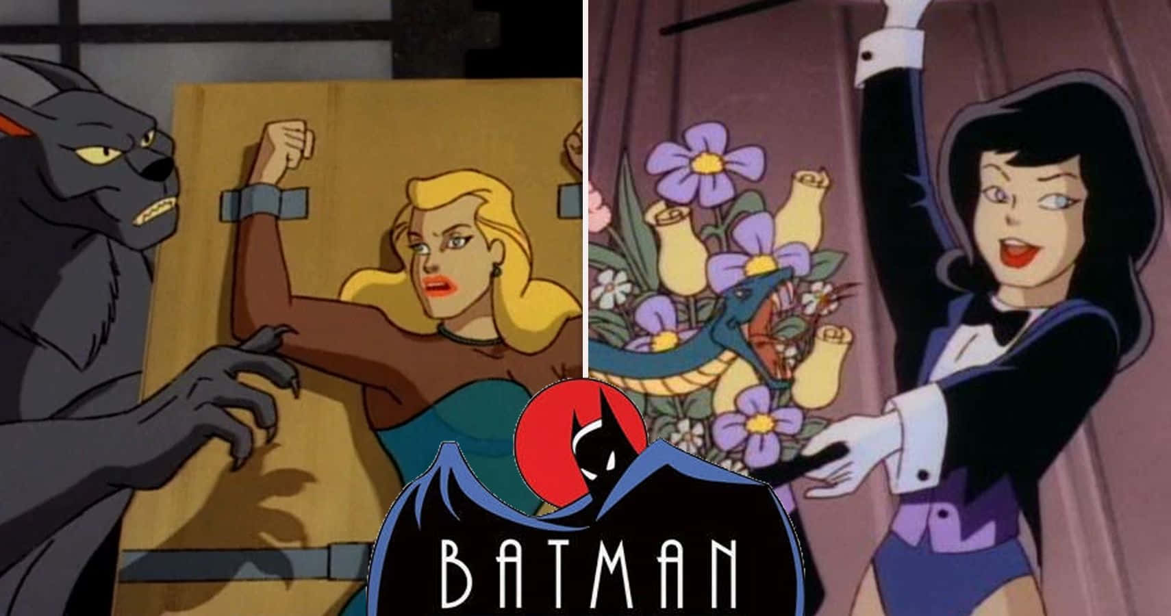 Batman and Robin in action during Batman Animated Adventures Wallpaper