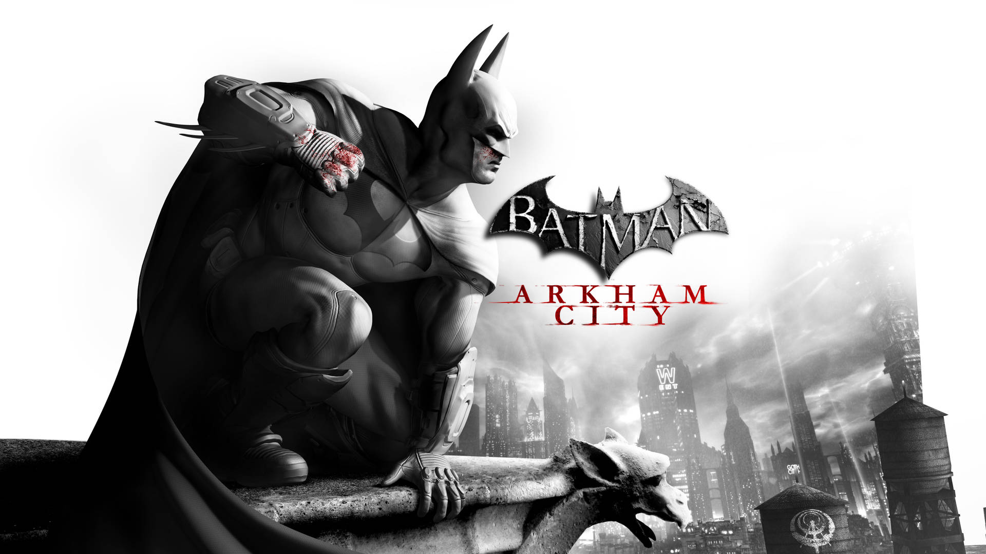 Batman Arkham City Poster Background