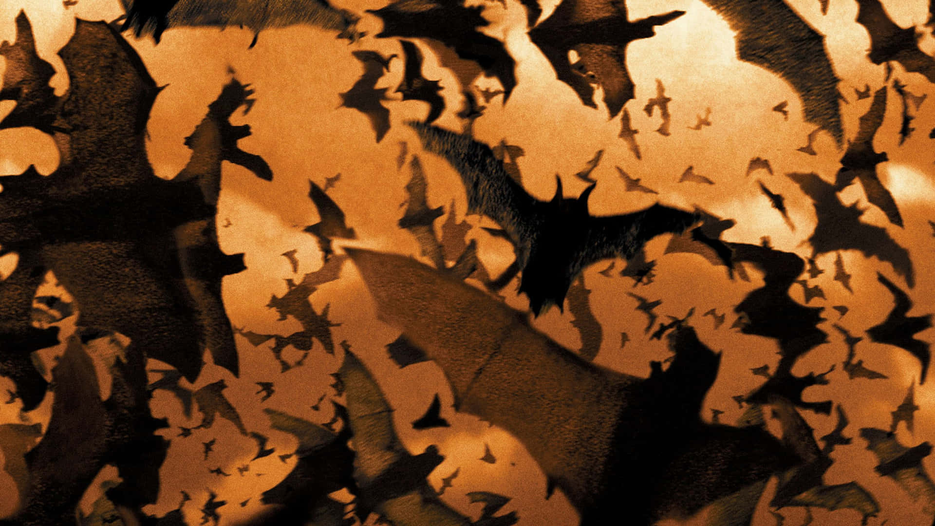 Christian Bale as Batman overlooking the city of Gotham in Batman Begins Wallpaper