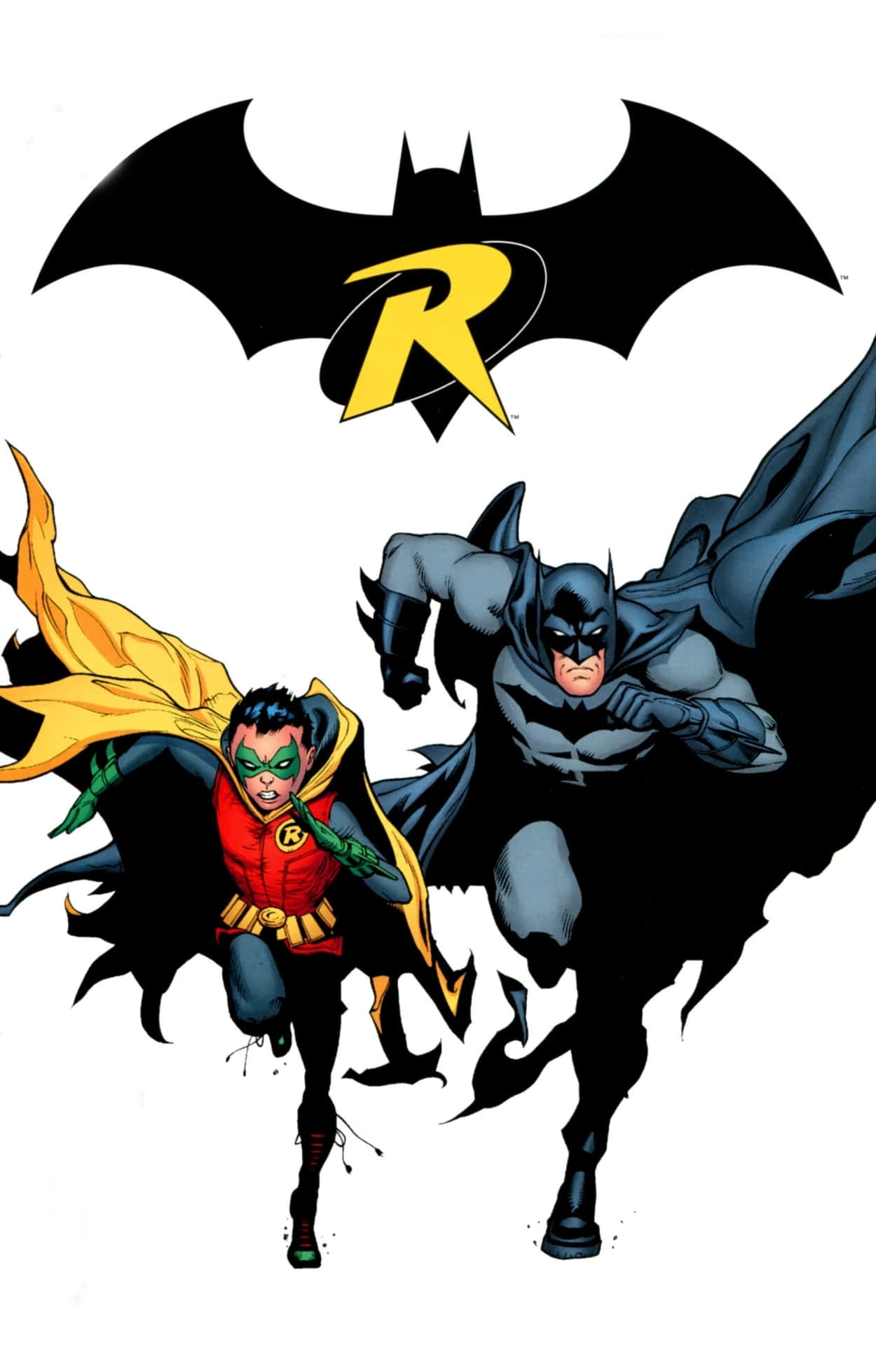 Batman Vs Robin: The Ultimate Duel Wallpaper