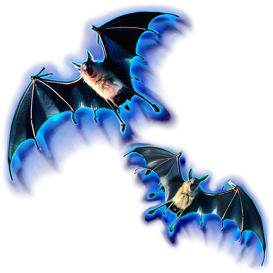 Bats And Cobweb Png 75 PNG