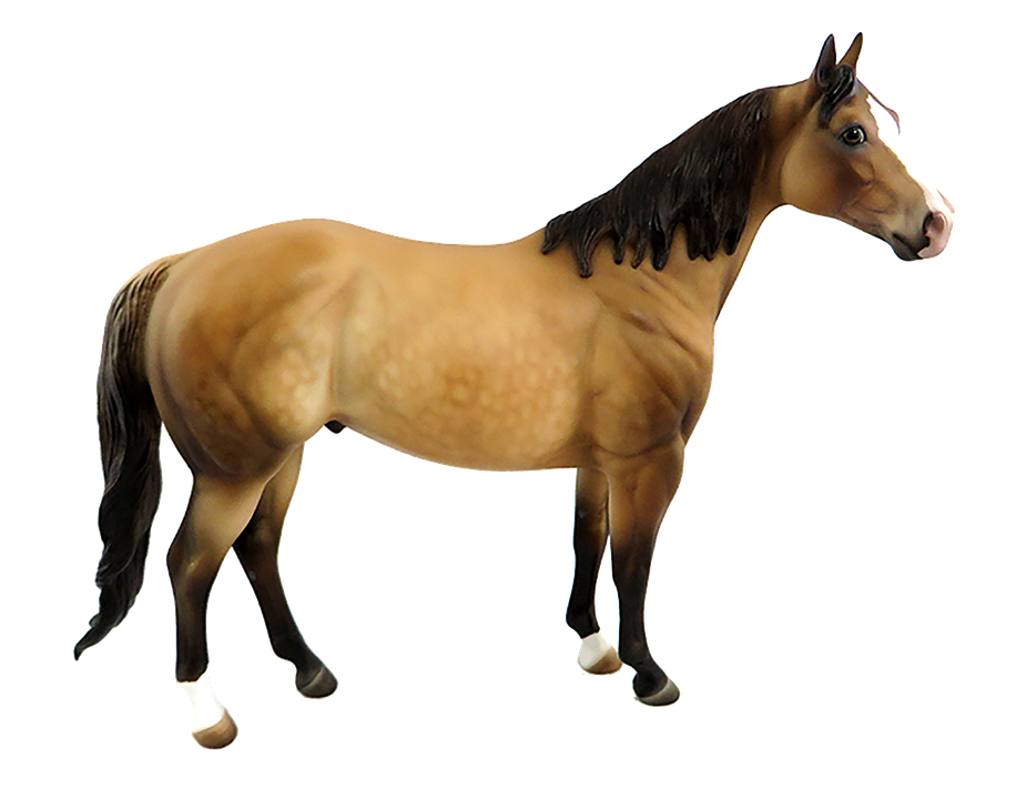Bay Horse Standing Transparent Background PNG