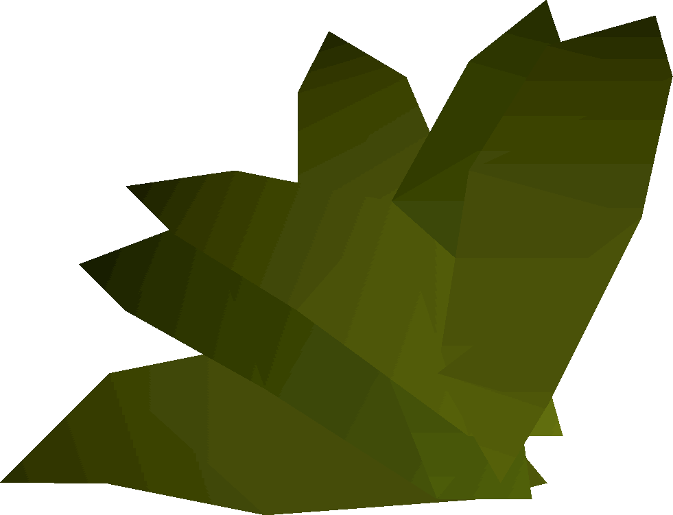 Bay Leaves Vector Illustration PNG