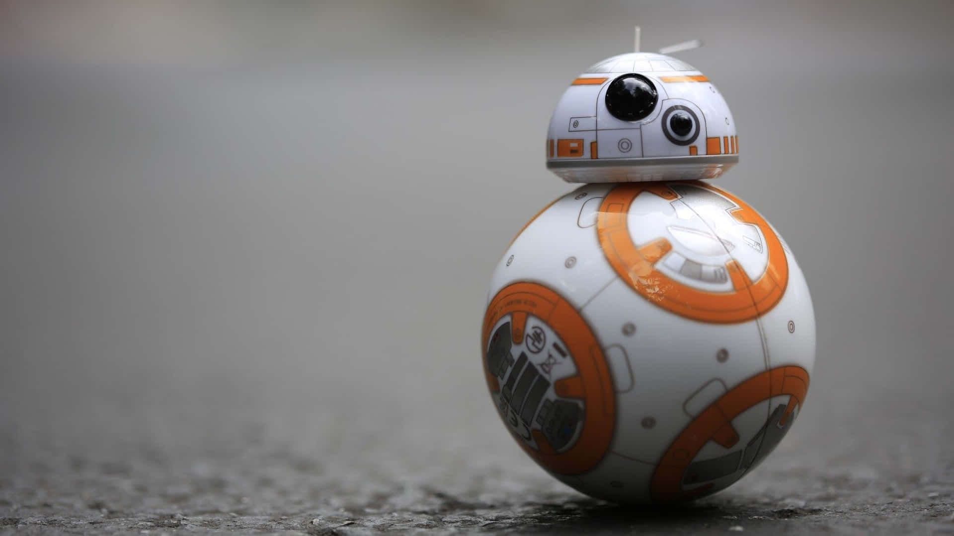 Image  Sweet, cheerful BB-8 with a Star Wars fan. Wallpaper