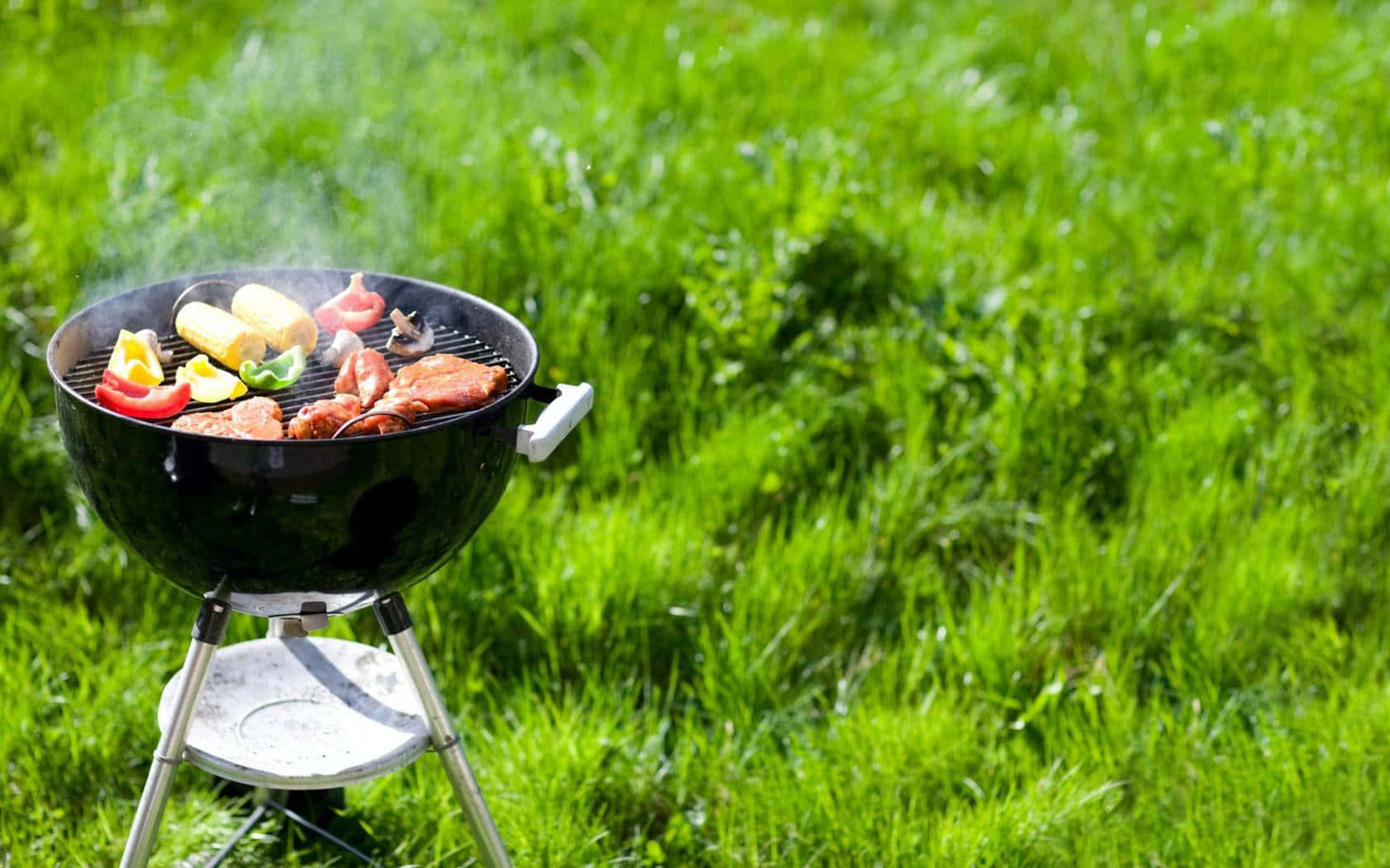 Nyd den perfekte sommerdag med barbecue og venner.