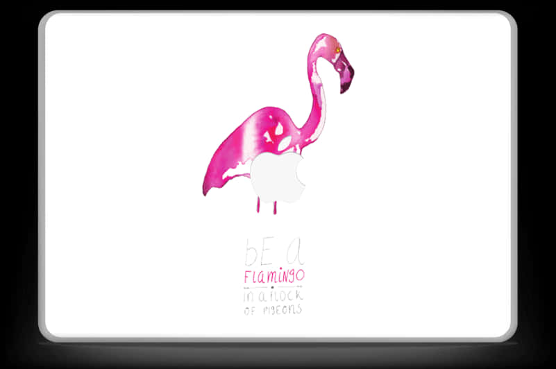 Be A Flamingo Inspirational Quote PNG