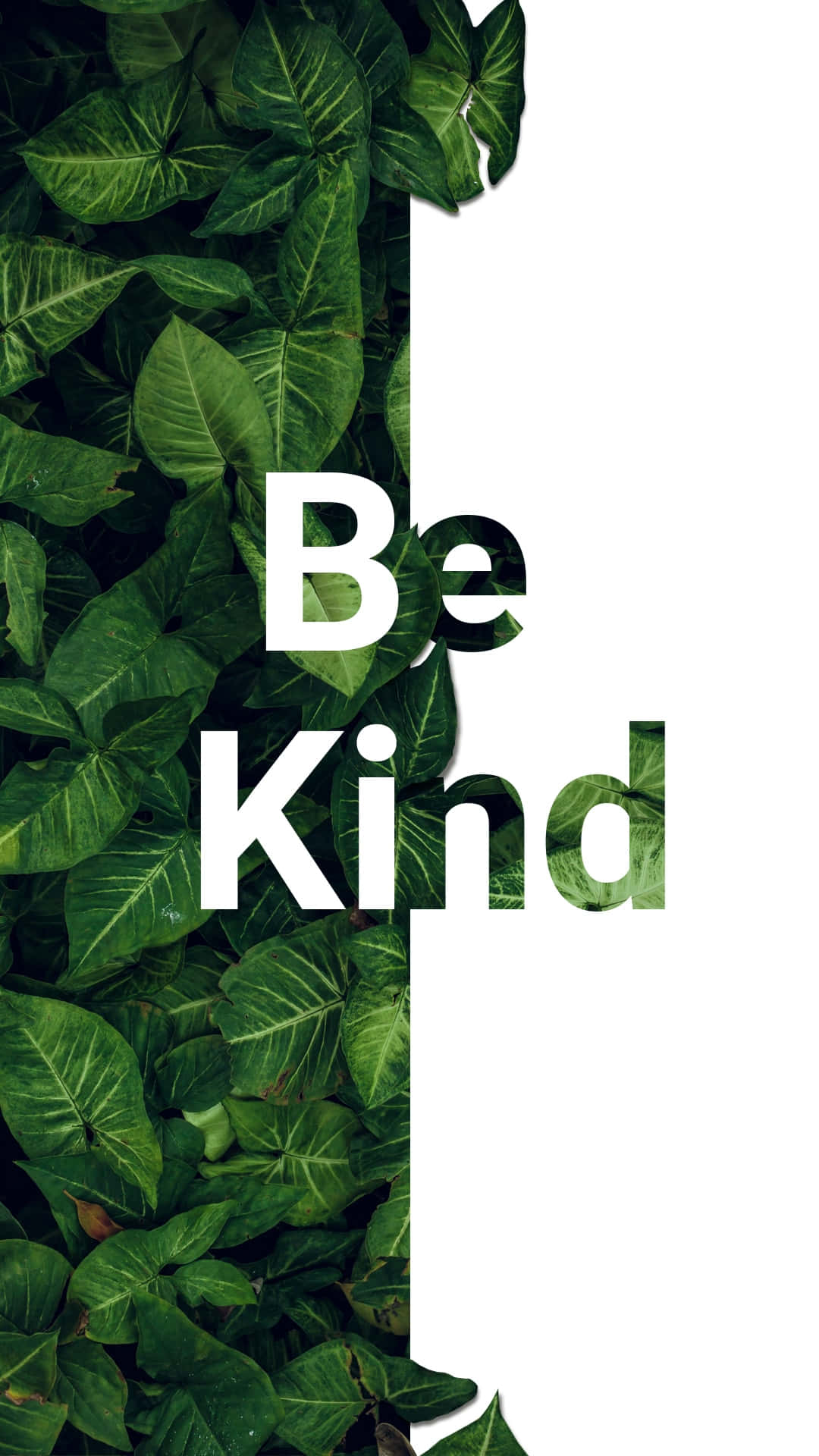 Be Kind Quote Leaf Design Wallpaper