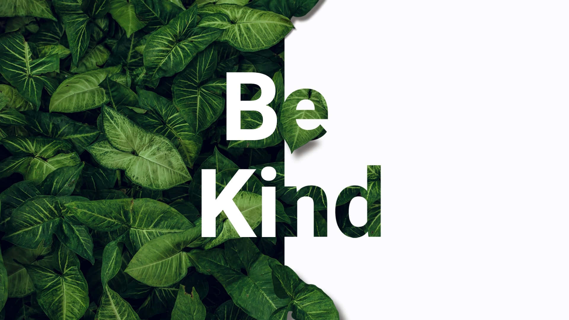 Be Kind 1920 X 1080 Wallpaper