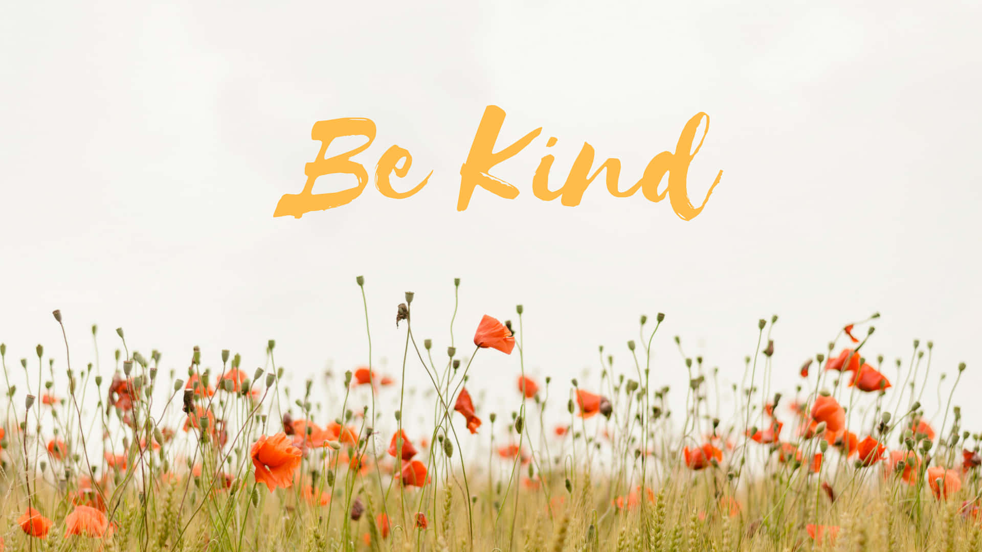 Be Kind Lettering With Poppy Flowers Wallpaper
