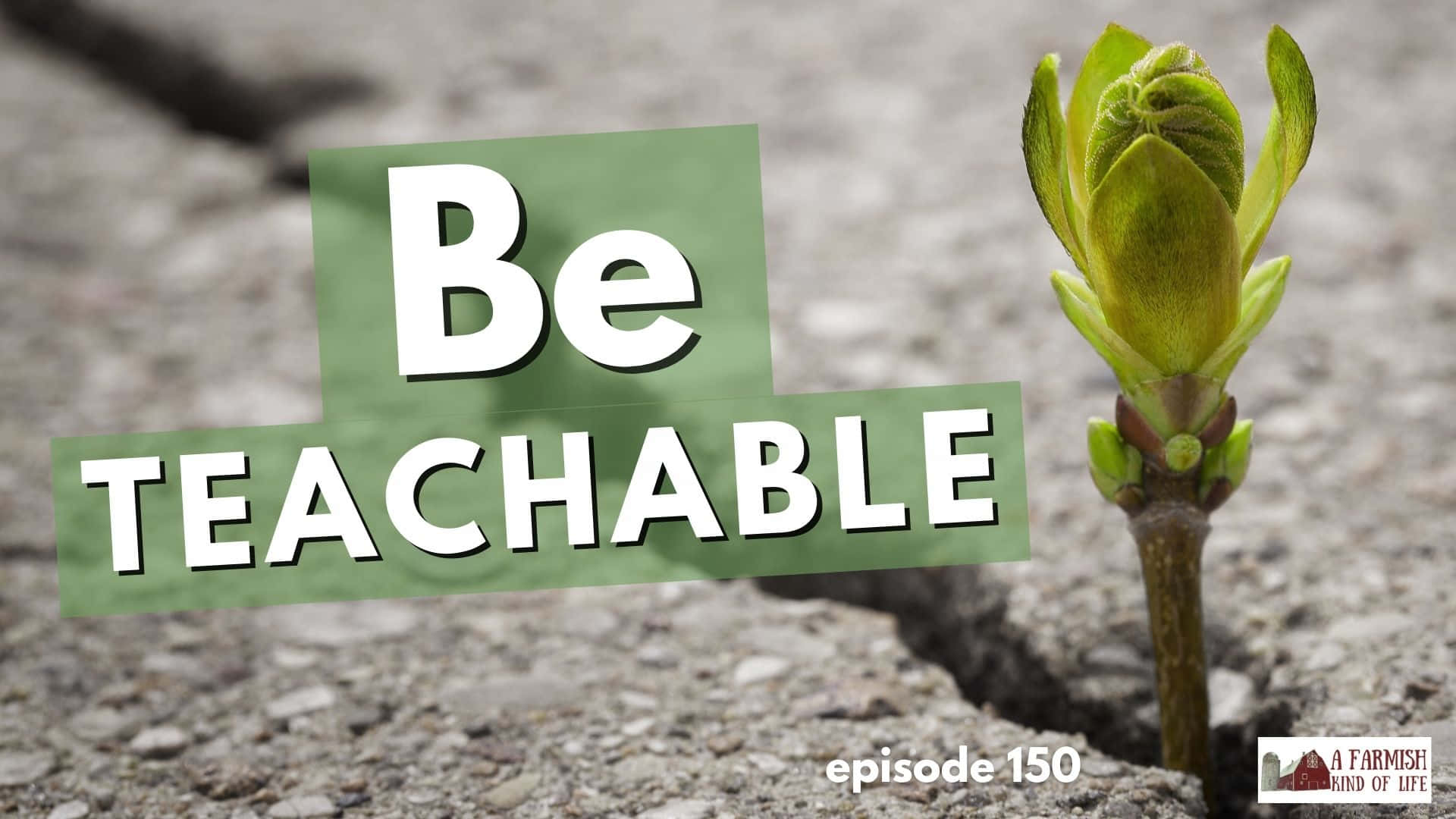 Be Teachable Growth Concept Wallpaper