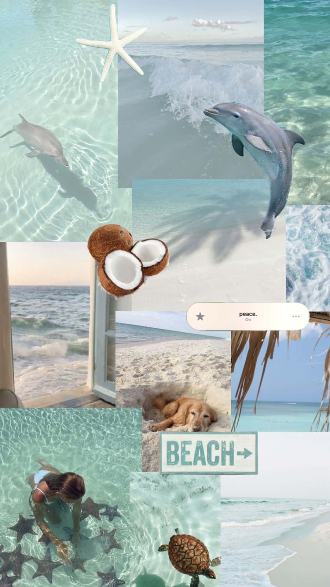 Beach Aesthetic Collage Wallpaper