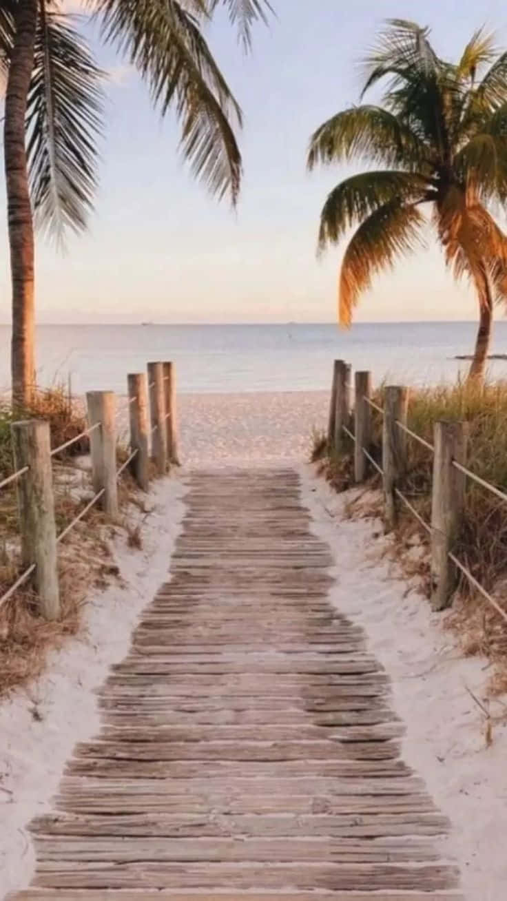 Beach Aesthetic Pathway Picture