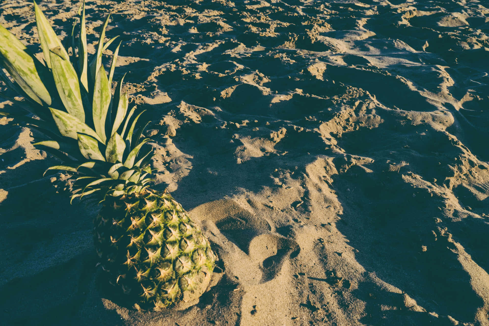 Frutaen La Playa Con Estética Tumblr. Fondo de pantalla
