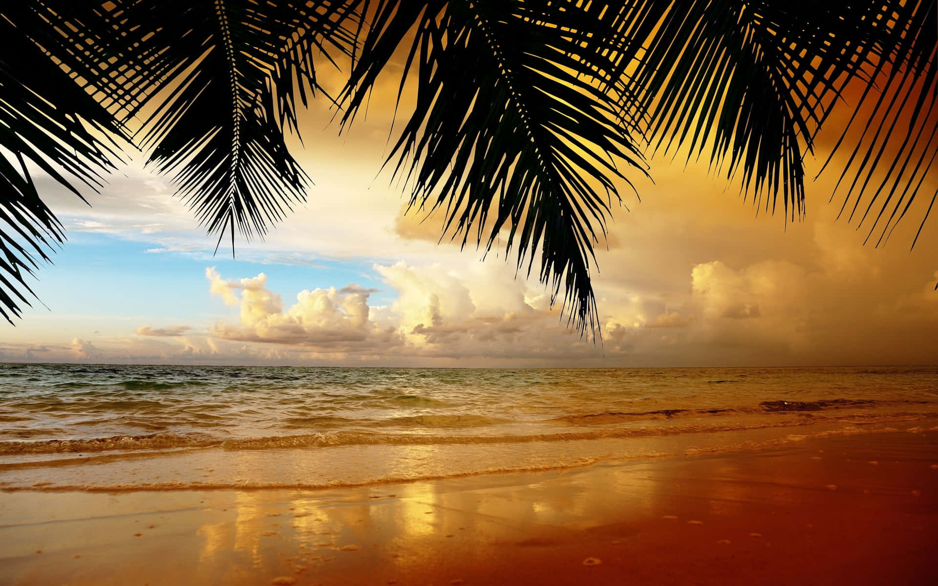 Hanging Palm Leaves On Beach Background