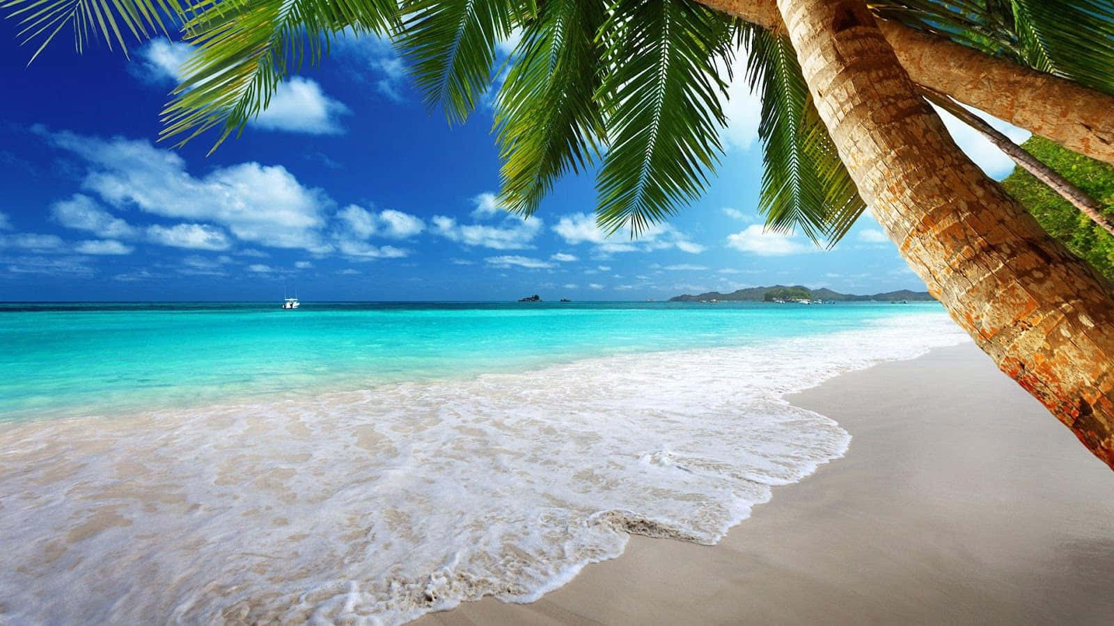real beach background images