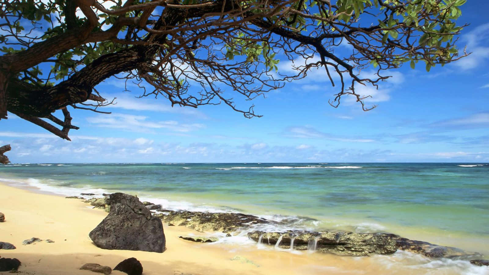 Fondode Pantalla De La Playa De Rocky Kanenelu En Hawái.