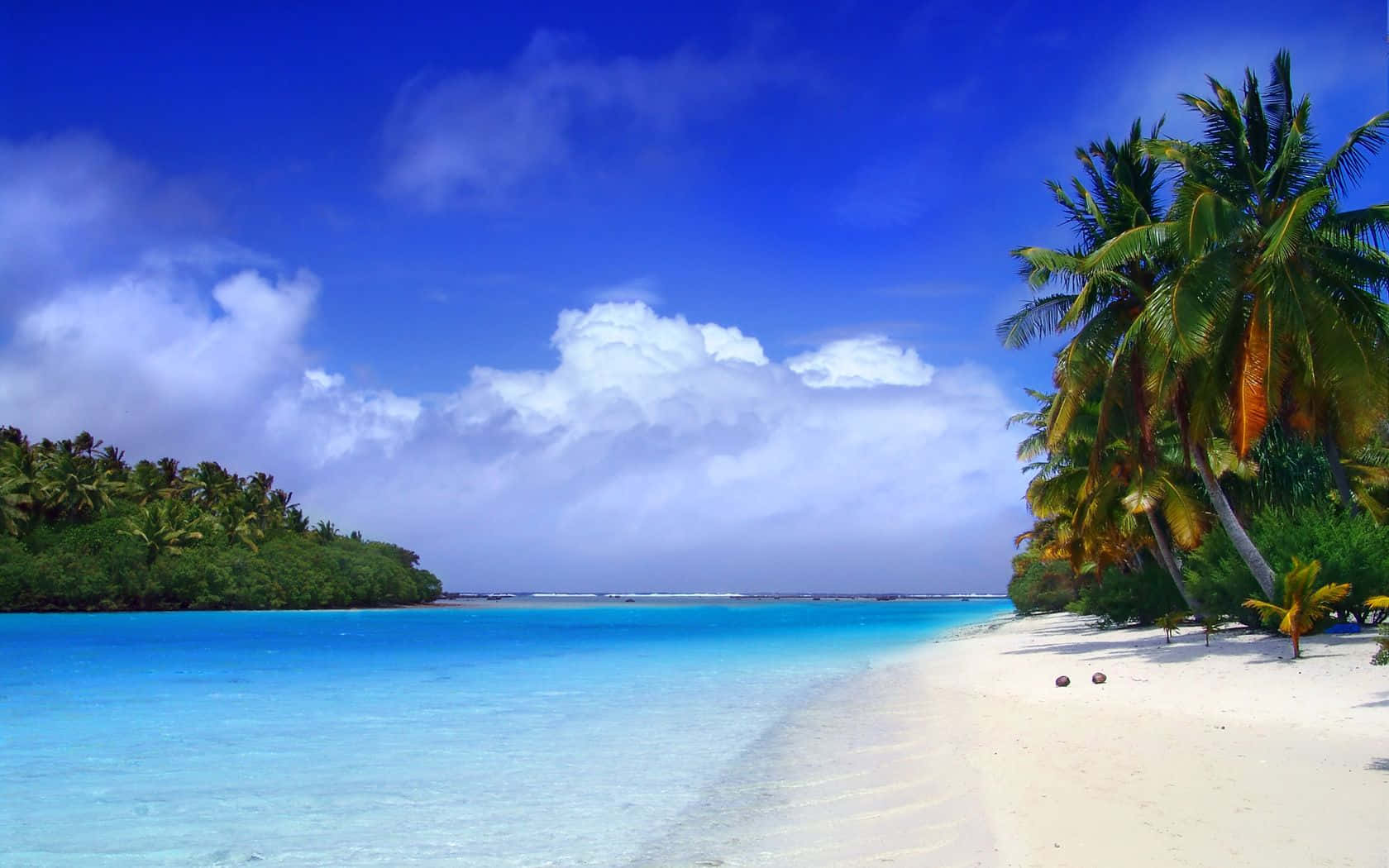 Beach With Coconut Trees Background