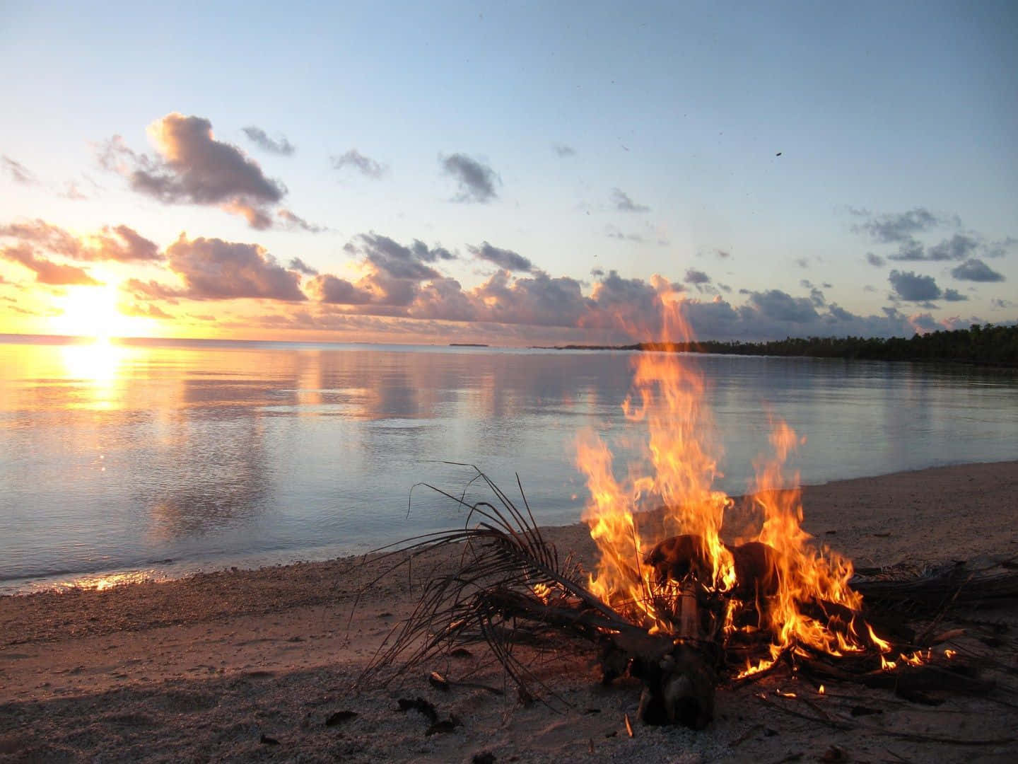 A cozy beach bonfire on a serene evening Wallpaper