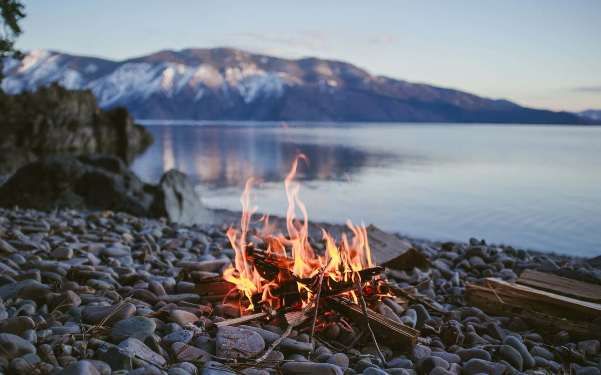 Relaxing Beach Bonfire under the Starry Sky Wallpaper