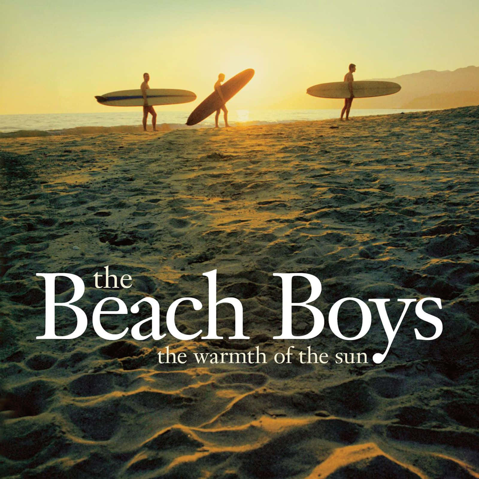 Copertinadell'album Beach Boys The Warmth Of The Sun Sulla Spiaggia Sfondo
