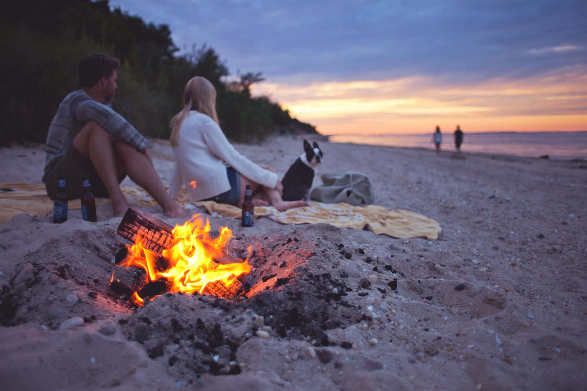 Gather Around A Cozy Beach Campfire Wallpaper