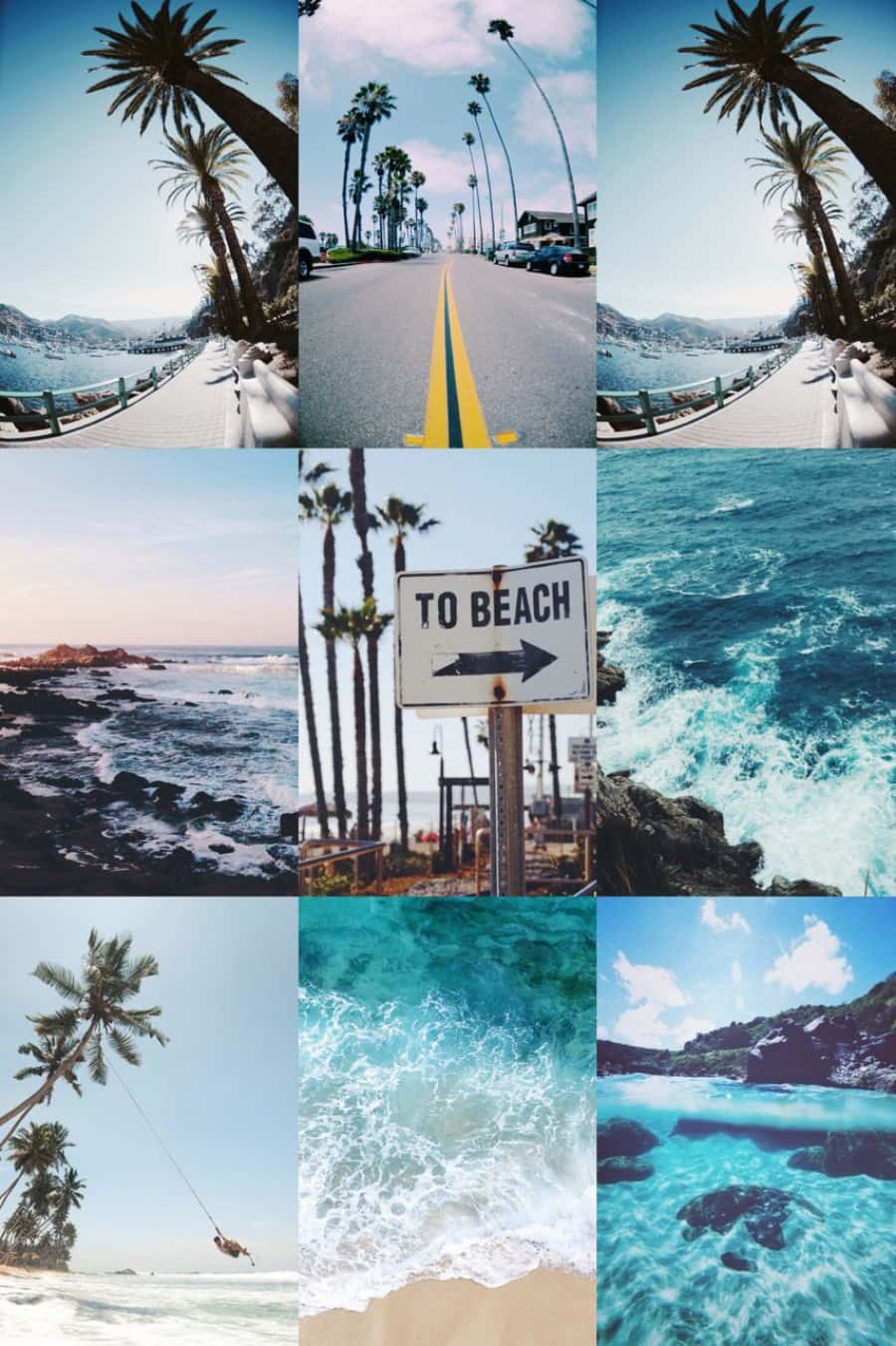 Beach Collage Sea And Palm Trees Wallpaper