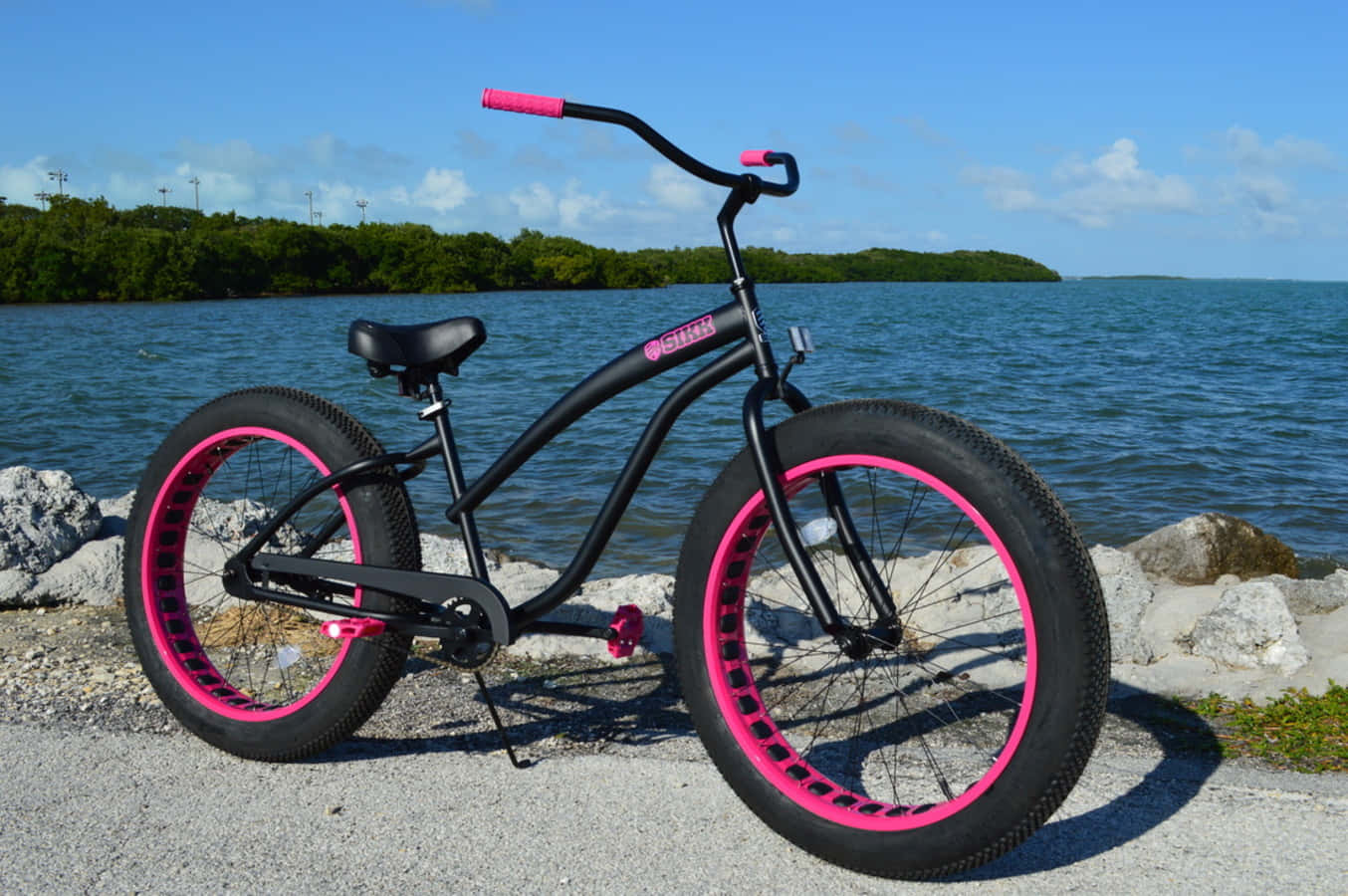 A Beach Cruiser Bicycle Parked by the Shore Wallpaper
