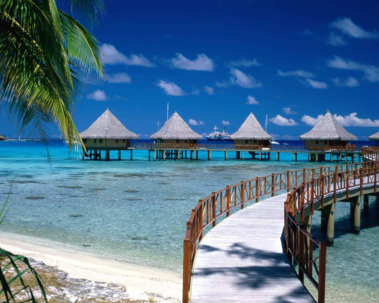 Beach Desktop Background: A Relaxing Tropical Paradise