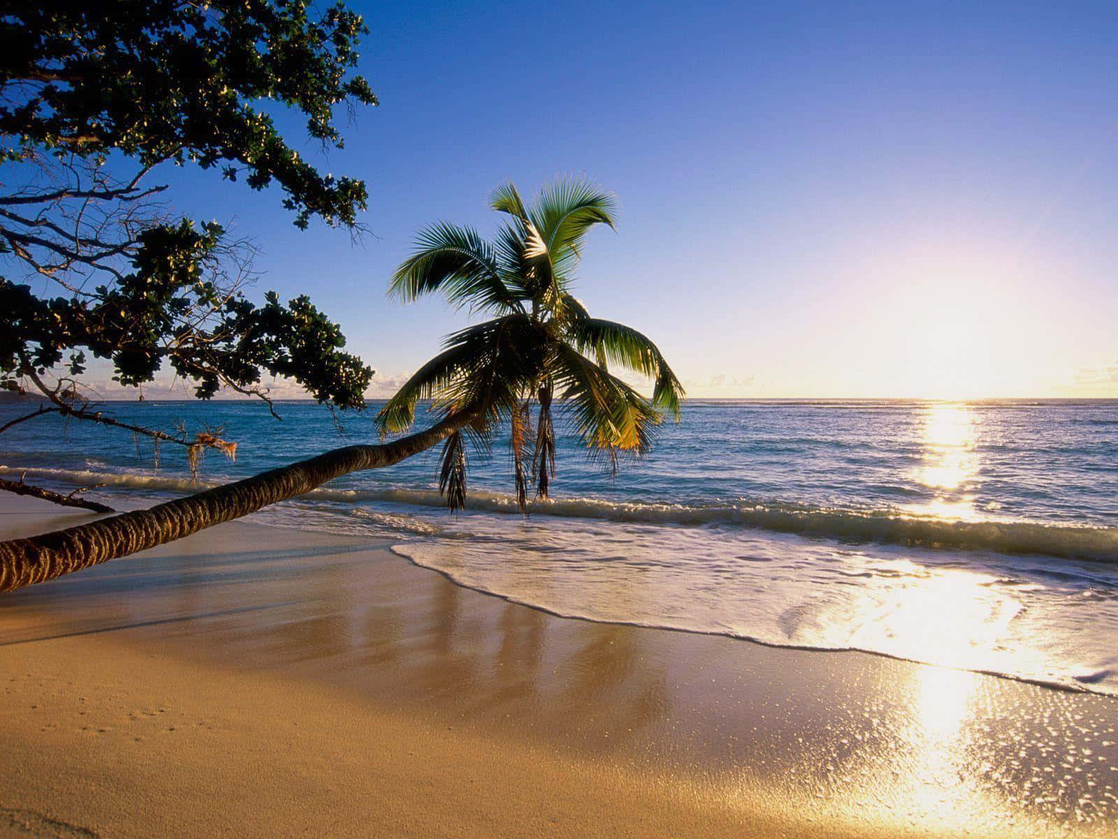 Serene Beach View from the Shore