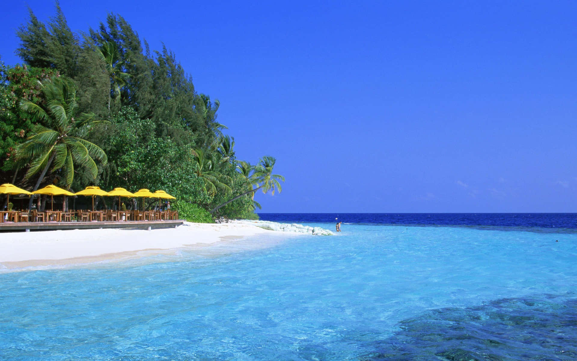 Dreamy Tropical Beach Desktop Background