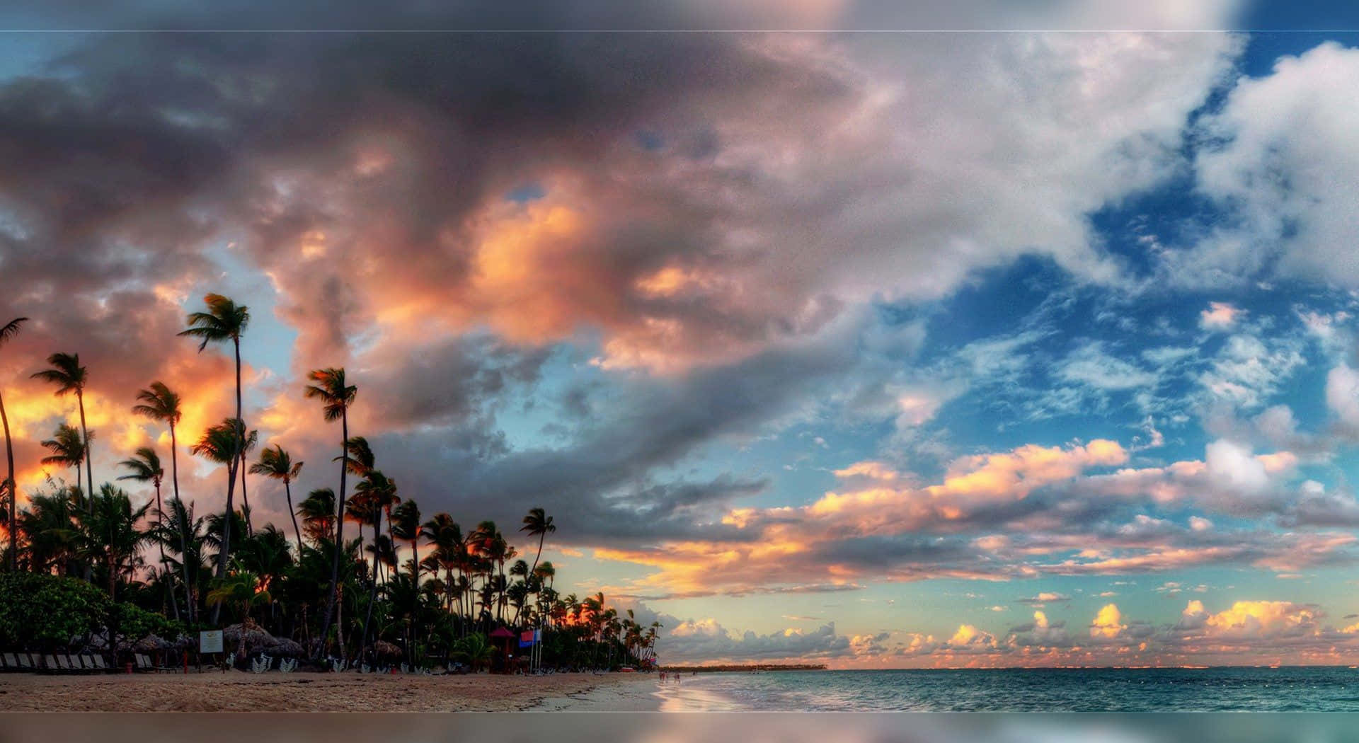 A Beach With Palm Trees And Clouds In The Sky Wallpaper