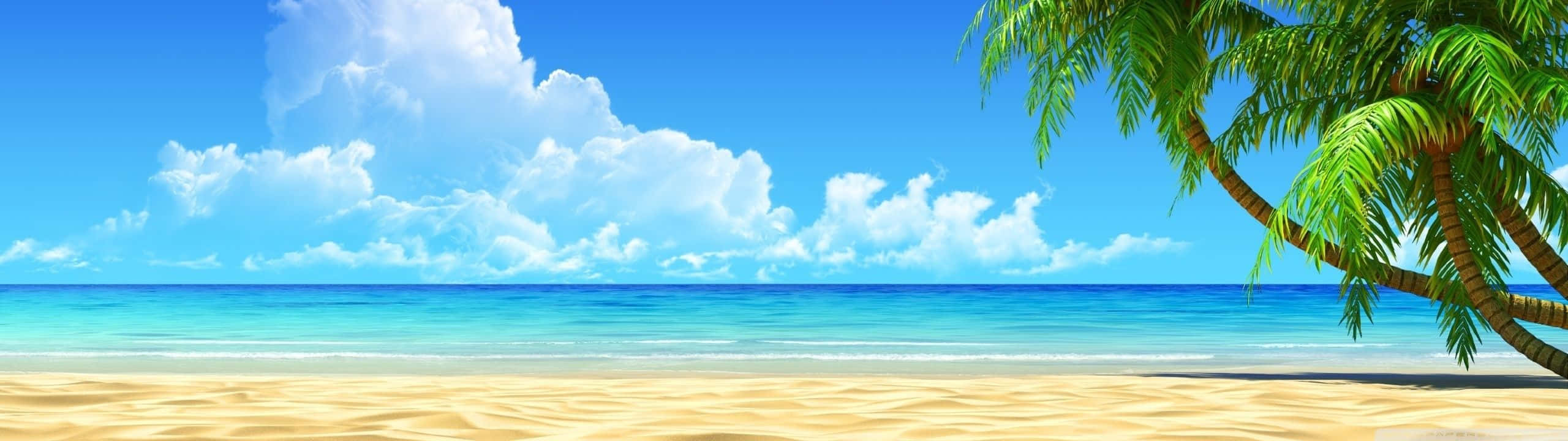 Enjoy the beauty of the Beach with a Dual Monitor Setup Wallpaper