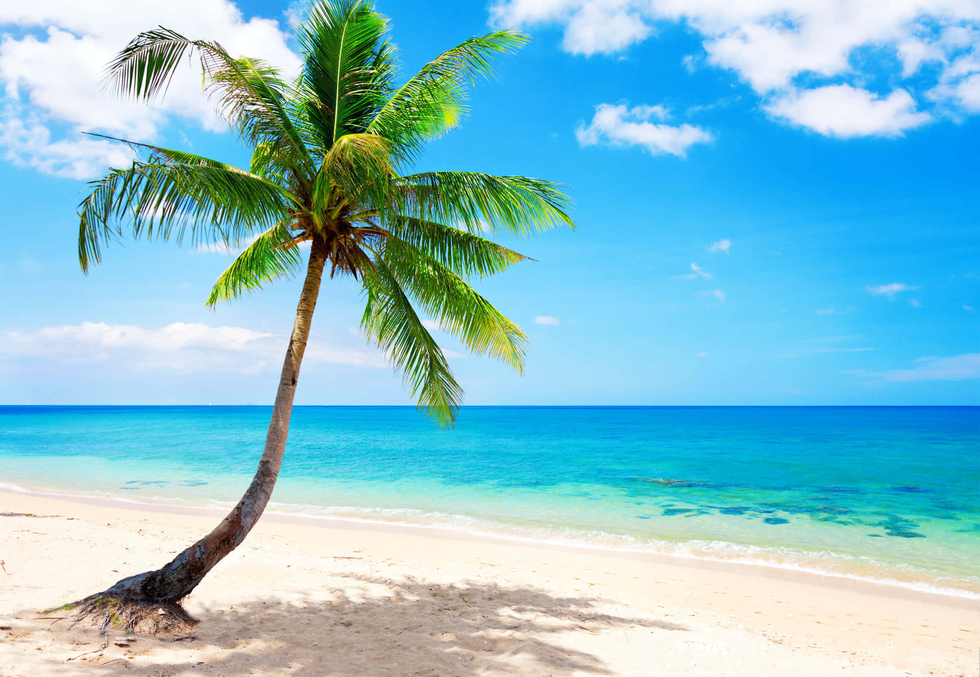 Vacacionesrelajantes En Una Playa Tropical. Fondo de pantalla