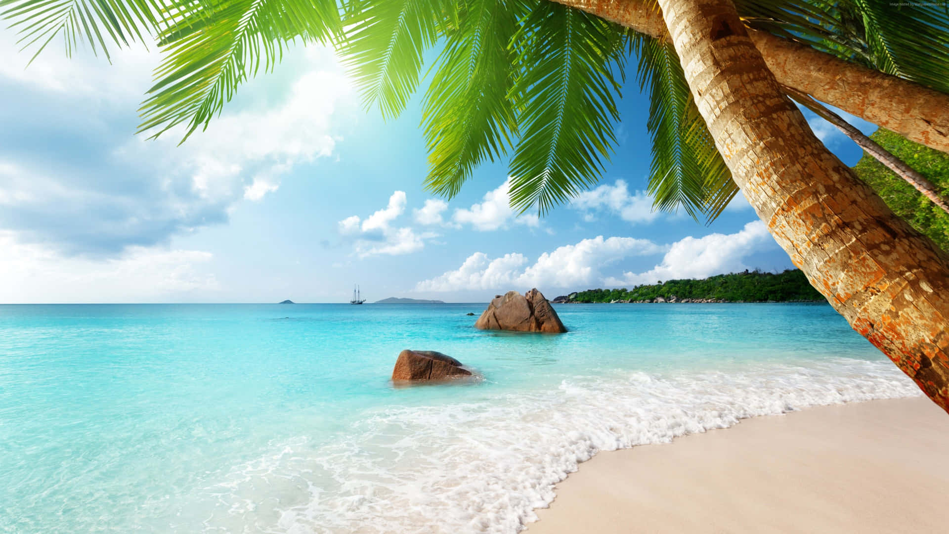 Escapede Vacaciones En Una Tranquila Playa Fondo de pantalla