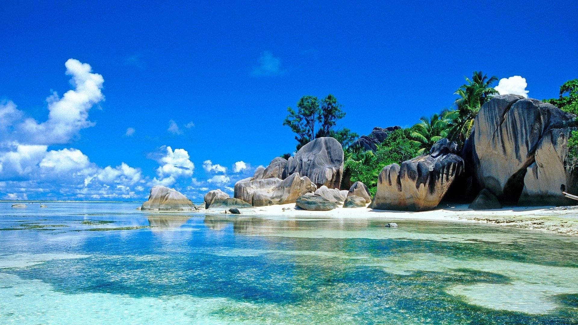 Beach In Seychelles Screen Saver Picture
